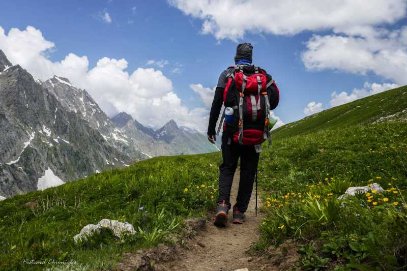 Is Quechua MH 100 Shoes Good For Trekking - Product Review