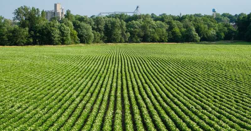 Is Soy Good For The Health Of The Environment?