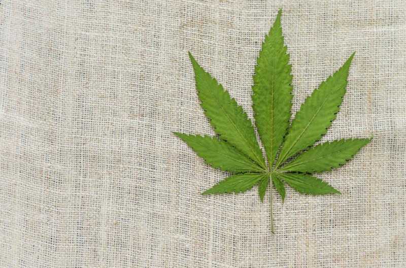 Is Trying Cannabis Worth It? - Jhollowell.com