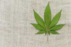 Is Trying Cannabis Worth It? - jhollowell.com