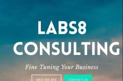Is Your Business in Need of Mobile Optimization? - Labs8