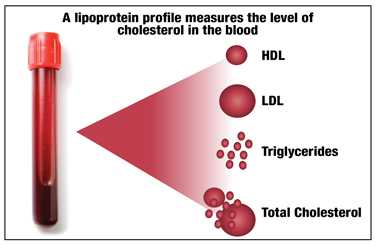 Is It Just FAT Or Is It A Misunderstood Notion?