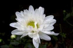 Is it yours? And that surely is the question