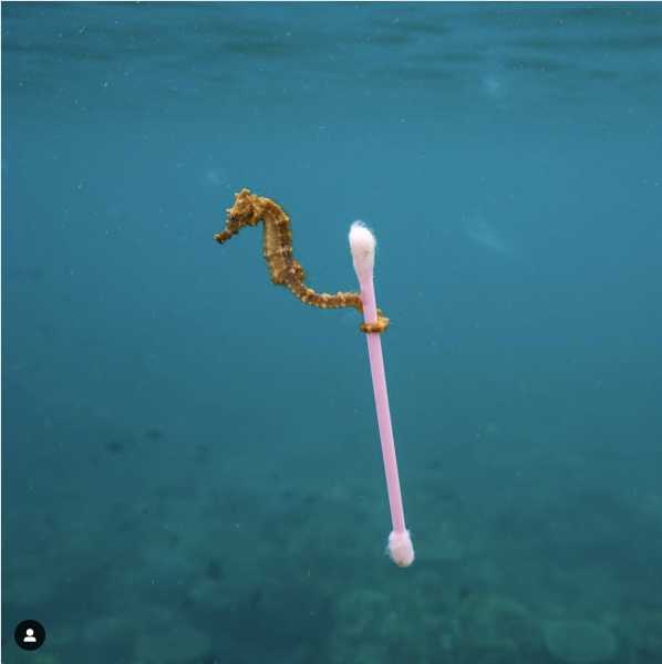 Is Your Beauty Ritual Destroying Our Oceans?