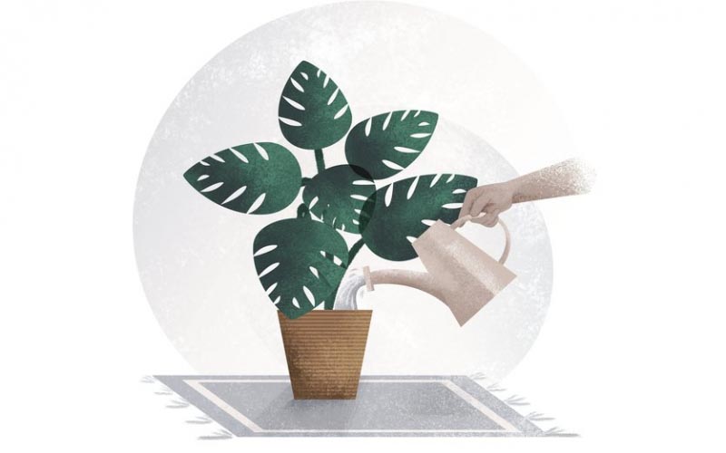 It Is! An Ode To Life And “Is” Ness