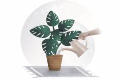 It Is! An Ode to Life and “Is” ness