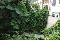 Item off the bucket list