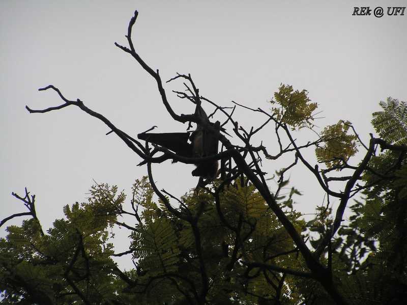 Its 6 P.M...Time To Wake Up....