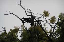 Its 6 P.M...Time To Wake Up....