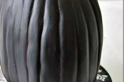 Its the Pumpkin Month!