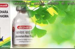 Jahar Mohra Khatai Aushadhi | जहरमोहरा खताई औषधि के लाभ व प्रयोग विधि