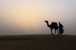 Jaisalmer - desert safari.