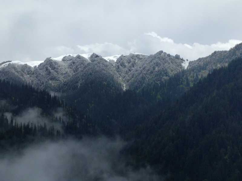 Jalori - Where Mountains Spring Surprises!