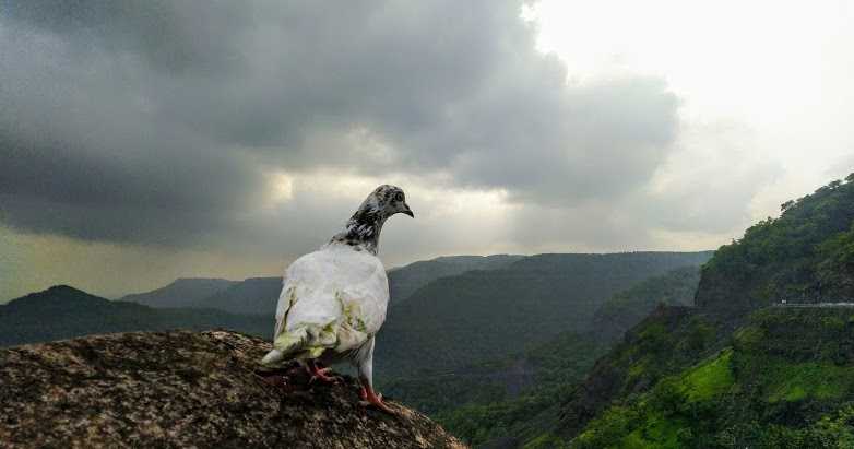 Jam Gate A Hidden Gem