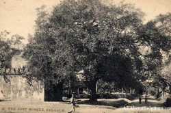 Jamia Masjid : Earlier a Jain/Shiva Temple.