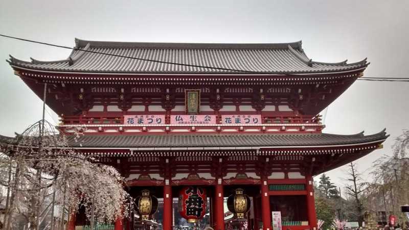 Japan Rail Pass: Is It Worth The Cost?