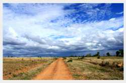 Jayamamangali Blackbuck Sanctuary