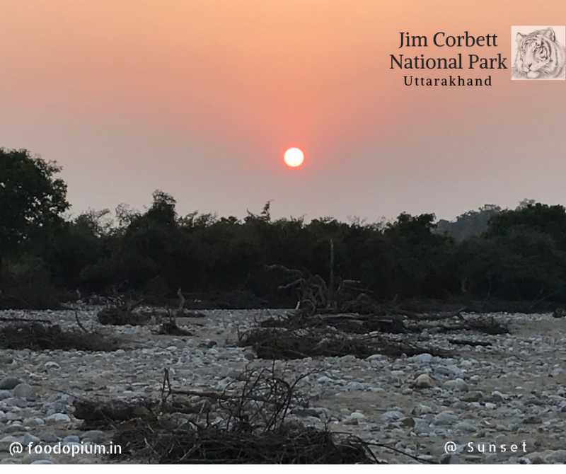 Jim Corbett National Park - Corbett Tiger Reserve - Food Opium