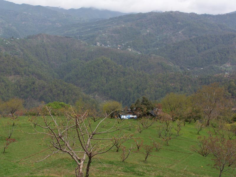 Jingle, Jingle, Jilling All The Way