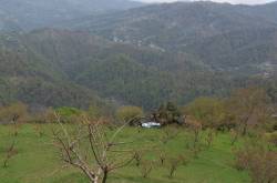 Jingle, Jingle, Jilling all the way