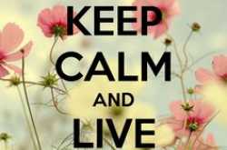 Jiye Jaa Rahe Hain...