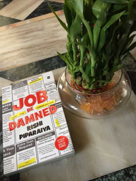 Job Be Damned Book Review