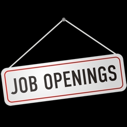 Jobs Opening For SEO Expert In Chennai, India