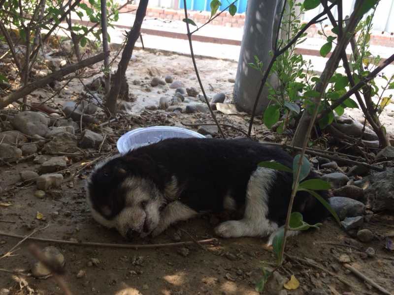 Journey To Spiritual Abode