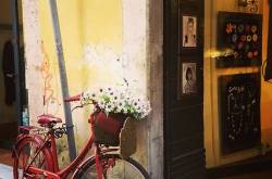 Joy of riding!!! - South Serenity