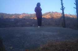 Jubbal - A Harmonious Habitat