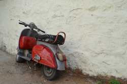 July 11 - Have a lovely week!