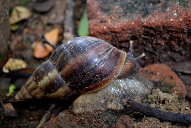 July 13 - Slowly Getting There