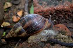 July 13 - Slowly getting there