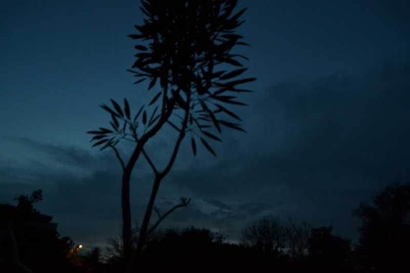 July 9 - Day 11, Something Blue