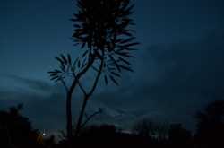 July 9 - Day 11, Something Blue