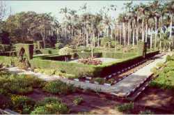 junagadh agricultural university - panch divas no international training programme