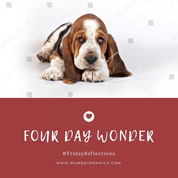 June- The Four Day Wonder #FridayReflections | Mumbai On A High