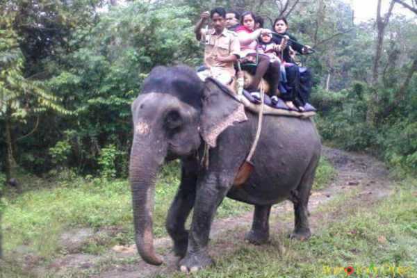 Jungle Safaris In Dooars Get Pricier | Tariffs Revised | West...