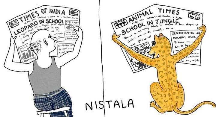 Jungle Bells, Jungle Bells, Leopard On The Way...