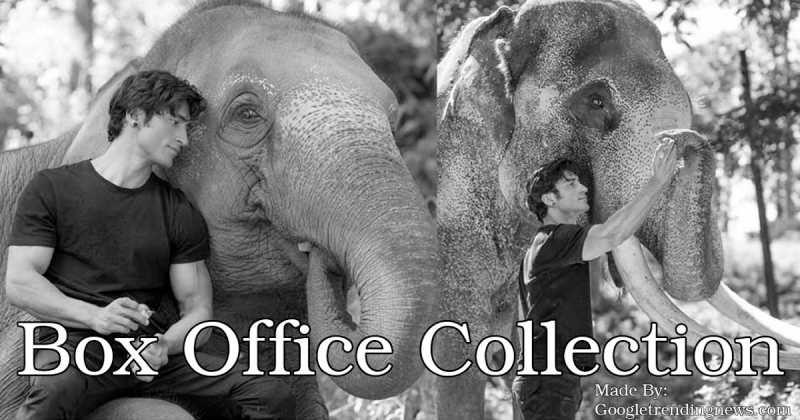 Junglee Box Office Collection Overseas And Worldwide