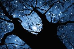 Just a moment of love affair with a star is enough and the stars will lead us home…..