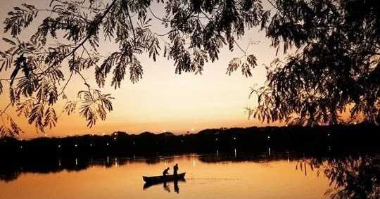 Just An Evening Walk