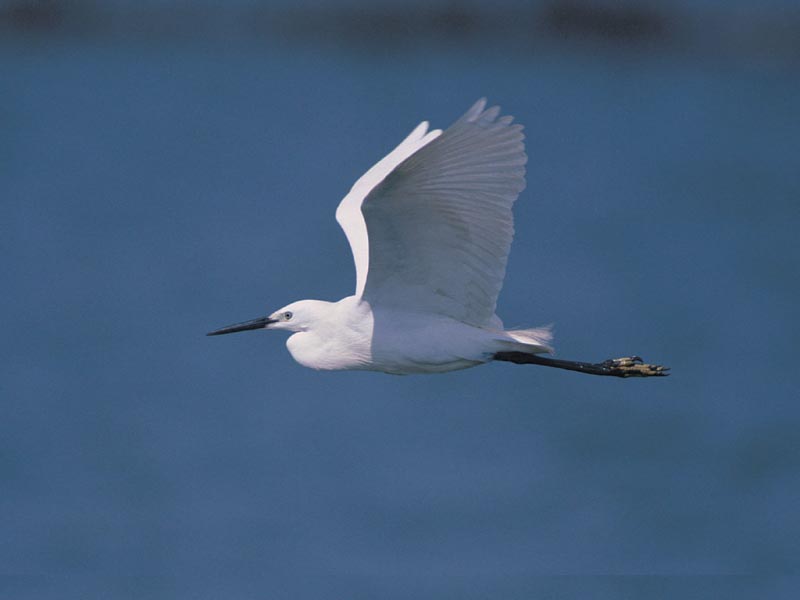 Just Another Beautiful Day