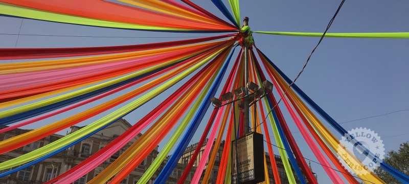 Kala Ghoda Arts Festival 2019 - Sightings - YellowPeriscope