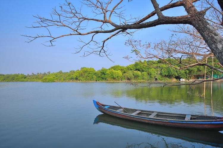 Kallencherry Island Tour At Kumbalangi Village, Kochi