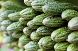 Karela (Bitter gourd) for Diabetic