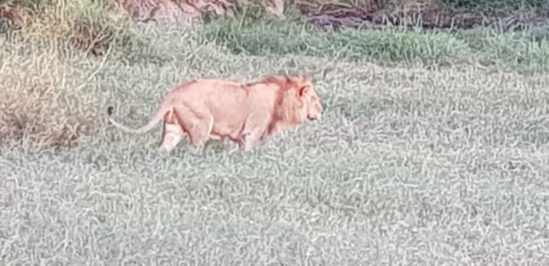 Karibu…. Welcome To Africa