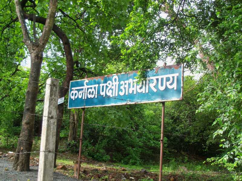 Karnala Bird Sanctuary - How To Go, Things To Do