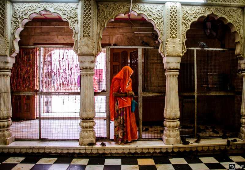 Karni Mata Temple - The Rat Temple Of Deshnok | Shadows Galore