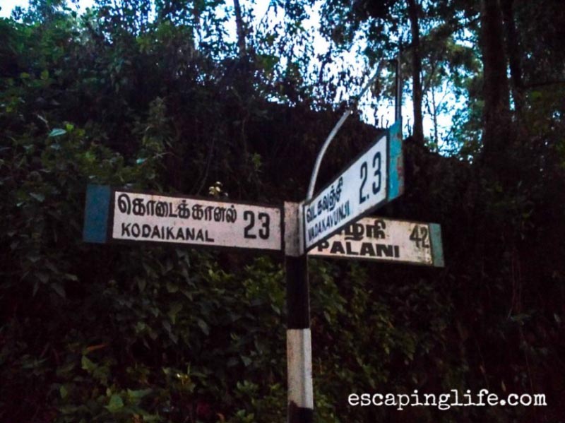 Karuna Farm: A Breather Up In The Mountains | Escaping Life